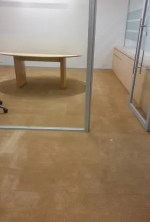 YELLOW CARPET 1M
