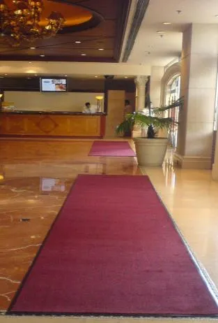 DRAK RED CARPET 10M